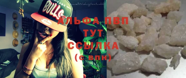 шишки Новозыбков