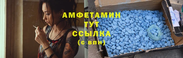 шишки Новозыбков
