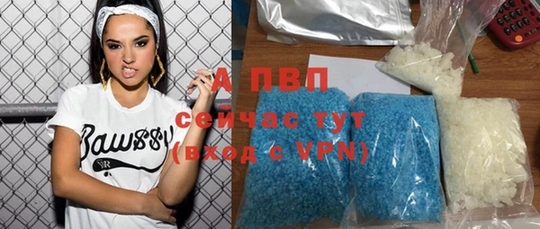 прущие грибы Абдулино