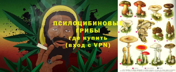 шишки Новозыбков