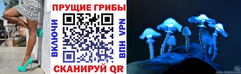 наркота  Шиханы  shop формула  Псилоцибиновые грибы Psilocybine cubensis 